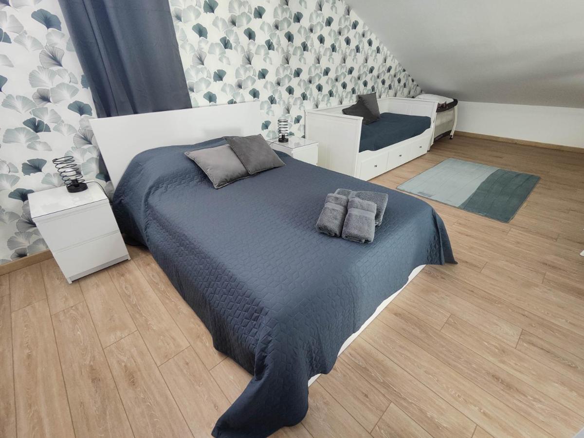 O Loft - 3 Chambres Avec 3 Salles De Bains - Parking - Climatisation Albi Exteriör bild