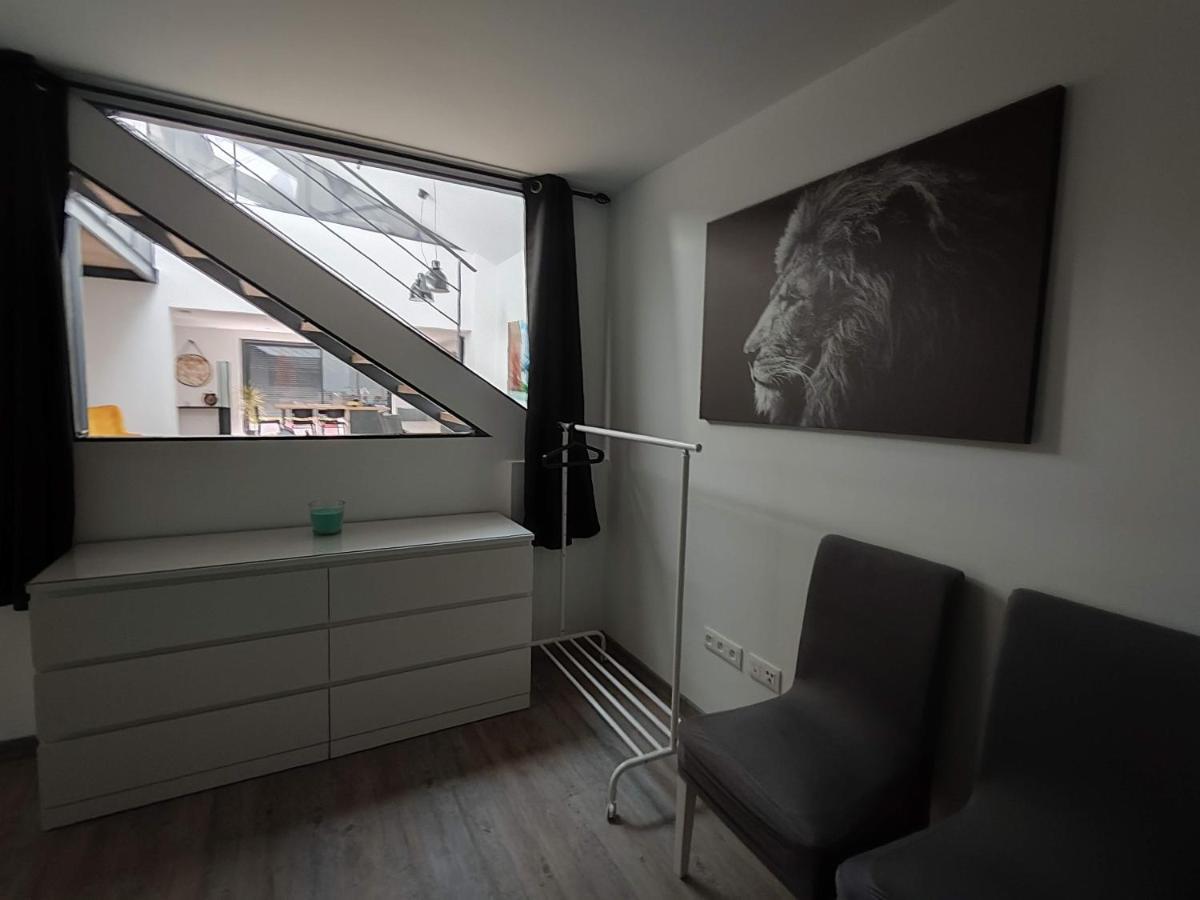 O Loft - 3 Chambres Avec 3 Salles De Bains - Parking - Climatisation Albi Exteriör bild