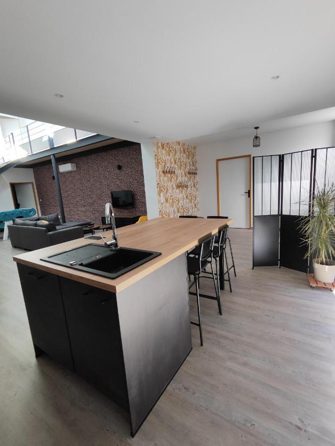 O Loft - 3 Chambres Avec 3 Salles De Bains - Parking - Climatisation Albi Exteriör bild